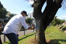 Gobierno cale&ntilde;o recuperar&aacute; corredor verde de la autopista Suroriental
