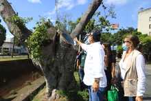 Gobierno cale&ntilde;o recuperar&aacute; corredor verde de la autopista Suroriental