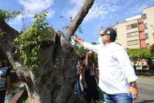 Gobierno cale&ntilde;o recuperar&aacute; corredor verde de la autopista Suroriental
