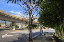 Intervenci&oacute;n a los &aacute;rboles de la autopista suroriental de Cali