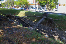 Intervenci&oacute;n a los &aacute;rboles de la autopista suroriental de Cali