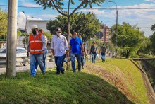 Intervenci&oacute;n a los &aacute;rboles de la autopista suroriental de Cali