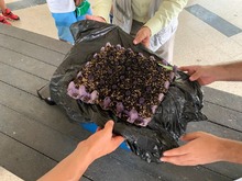 Con militares privados de la libertad, Cali adelanta el proceso de Huertas Comunitarias para la reconciliaci&oacute;n 