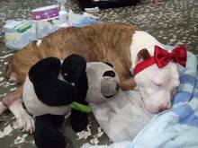 Un milagro que nos ense&ntilde;a a ser m&aacute;s humanos