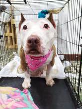 Un milagro que nos ense&ntilde;a a ser m&aacute;s humanos