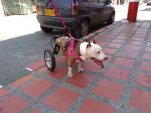 Un milagro que nos ense&ntilde;a a ser m&aacute;s humanos