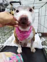 Un milagro que nos ense&ntilde;a a ser m&aacute;s humanos