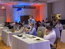 Operadores y prestadores de servicios tur&iacute;sticos cuentan con dominios gratis para sus empresas