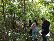 Recorridos guiados por los cerros tutelares de Cali