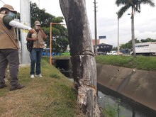 Recuperaci&oacute;n ambiental integral en el corredor arb&oacute;reo de la autopista Suroriental 