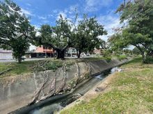 Recuperaci&oacute;n ambiental integral en el corredor arb&oacute;reo de la autopista Suroriental 