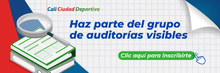Auditorias visibles 