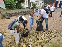 San Antonio limpio y bonito, gracias a una jornada de embellecimiento