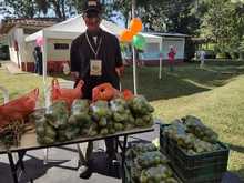 En octubre contin&uacute;an los &lsquo;Mercados Campesinos&rsquo; cargados de productos de la ruralidad cale&ntilde;a