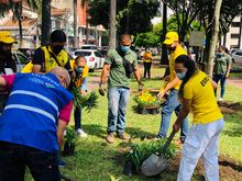 Recuperaci&oacute;n ambiental y paisaj&iacute;stica en el barrio Versalles
