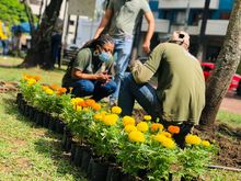 Recuperaci&oacute;n ambiental y paisaj&iacute;stica en el barrio Versalles