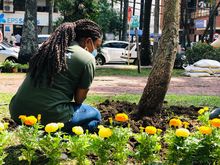 Recuperaci&oacute;n ambiental y paisaj&iacute;stica en el barrio Versalles