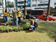 Recuperaci&oacute;n ambiental y paisaj&iacute;stica en el barrio Versalles