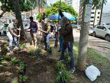 Recuperaci&oacute;n ambiental y paisaj&iacute;stica en el barrio Versalles