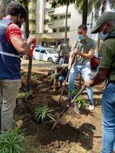 Recuperaci&oacute;n ambiental y paisaj&iacute;stica en el barrio Versalles