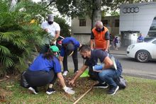 Pura &lsquo;participaci&oacute;n ciudadana&rsquo; durante intervenci&oacute;n en avenida Ca&ntilde;asgordas