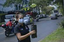 Siguen jornadas de enlucimiento en la avenida Circunvalar