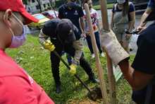 Siguen jornadas de enlucimiento en la avenida Circunvalar