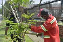 Siguen jornadas de enlucimiento en la avenida Circunvalar