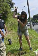 Siguen jornadas de enlucimiento en la avenida Circunvalar