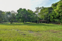 Alcald&iacute;a de Cali no permitir&aacute; la politizaci&oacute;n del Club Puente Palma 