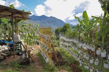 Huertas escolares y familiares: un proyecto sostenible que favorece la calidad de vida 