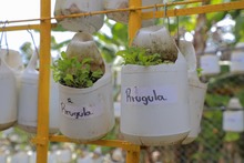 Huertas escolares y familiares: un proyecto sostenible que favorece la calidad de vida 