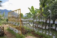 Huertas escolares y familiares: un proyecto sostenible que favorece la calidad de vida 