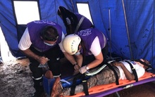 100 mil personas participaron en el Simulacro Nacional en Cali