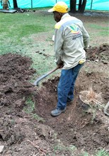 A buen ritmo avanza intervenci&oacute;n de la Plaza de Cayzedo