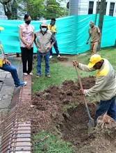 A buen ritmo avanza intervenci&oacute;n de la Plaza de Cayzedo