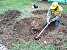 A buen ritmo avanza intervenci&oacute;n de la Plaza de Cayzedo