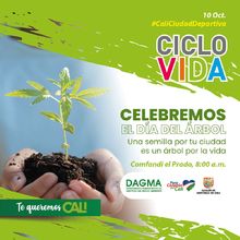 Cali conmemora el D&iacute;a Internacional del &Aacute;rbol con educaci&oacute;n ambiental y deporte