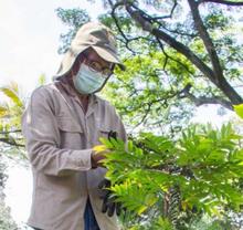 Experiencia del Vivero Distrital ser&aacute; presentada en Primer Encuentro Regional
