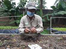 Experiencia del Vivero Distrital ser&aacute; presentada en Primer Encuentro Regional