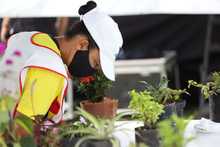 Cali conmemora el D&iacute;a Internacional del &Aacute;rbol con educaci&oacute;n ambiental y deporte