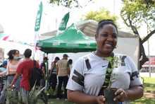 Cali conmemora el D&iacute;a Internacional del &Aacute;rbol con educaci&oacute;n ambiental y deporte