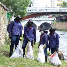 Dagma da continuidad al cumplimiento de sentencia en favor de recicladores de oficio