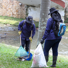 Dagma da continuidad al cumplimiento de sentencia en favor de recicladores de oficio