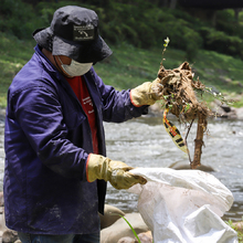 Dagma da continuidad al cumplimiento de sentencia en favor de recicladores de oficio