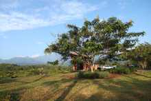 Cali late con el Ecoparque Ambiental Coraz&oacute;n de Pance