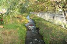 Cali late con el Ecoparque Ambiental Coraz&oacute;n de Pance