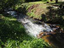Cali late con el Ecoparque Ambiental Coraz&oacute;n de Pance