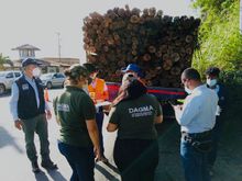 Control a movilizaci&oacute;n y comercializaci&oacute;n de productos forestales maderables y no maderables