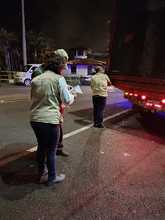 Control a movilizaci&oacute;n y comercializaci&oacute;n de productos forestales maderables y no maderables